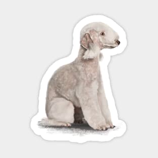 The Bedlington Terrier Sticker